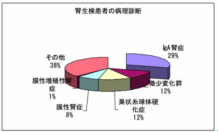 【医師の記事】腎生検とは？